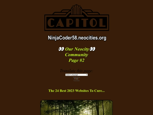 Website screenshot